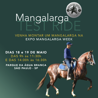 Marketing Redes Sociais